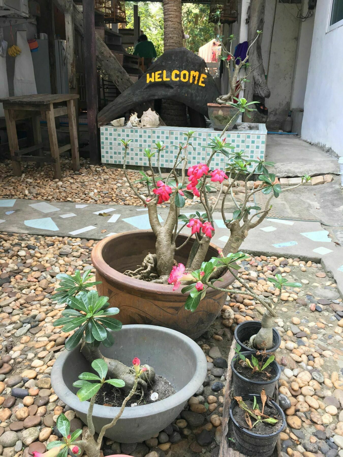 Miss Hong House Hotel Koh Samet Ngoại thất bức ảnh